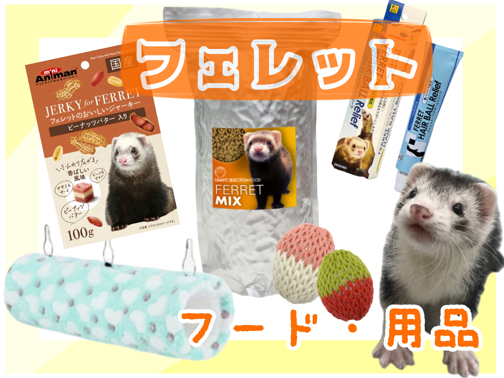 フェレット　バイト　小動物用お手入れ用品セット　本数が減ったので割引しました 61GyUJ1DkHL._UF350,350_QL50_.jpg